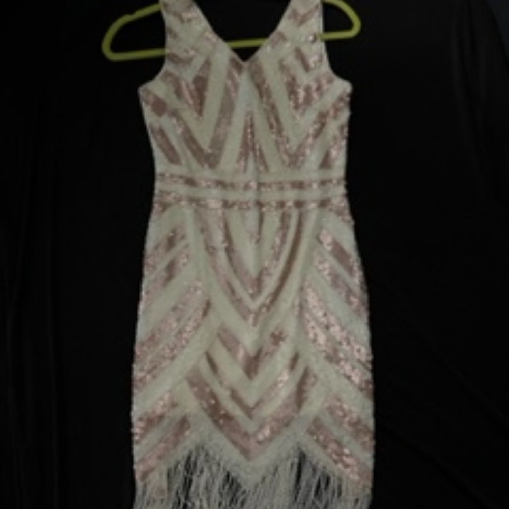 GORGEOUS Sequin Dress w/Fringe